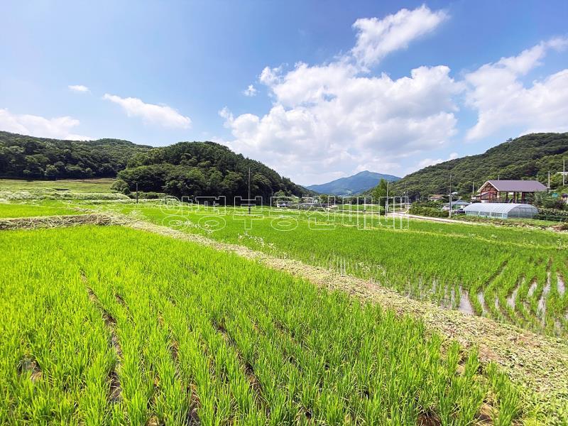 양평군 양서면 도곡리 농지_18